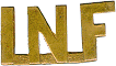 Infantry Pin